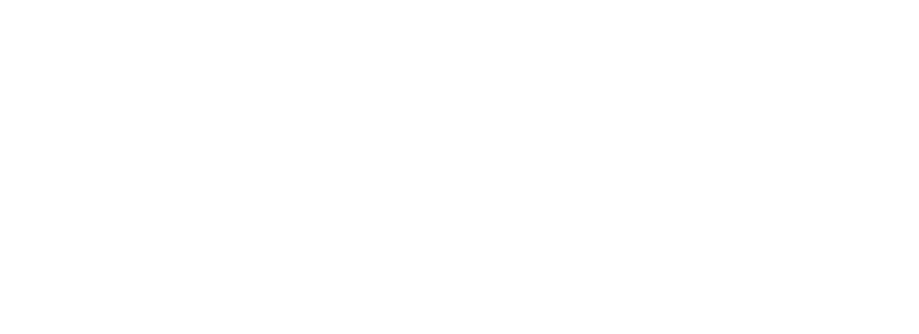 Stonewood Elements Logo